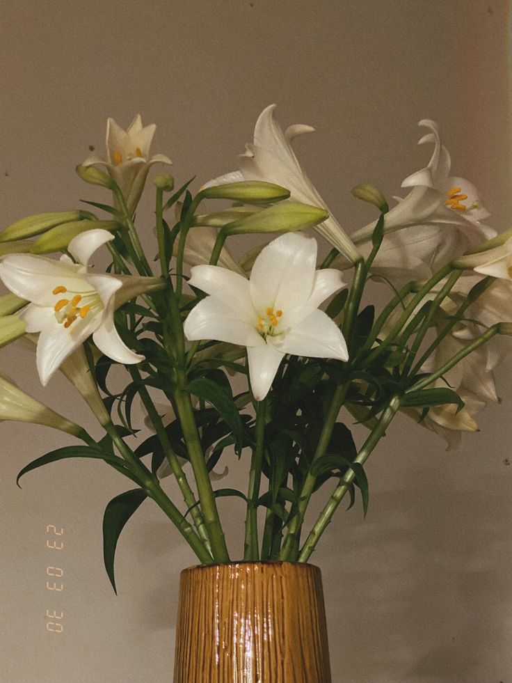 Giỏ hoa lily trắng